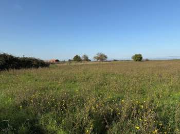 Vente de terrain