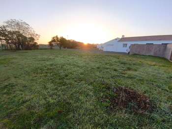 Vente de terrain