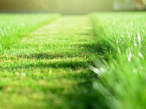 Vente de terrain Bourg-Blanc 29