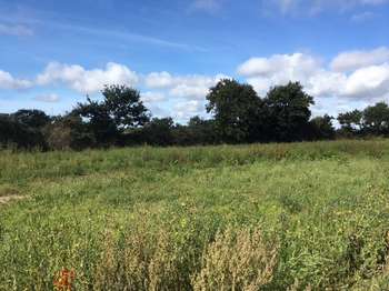 Vente Terrain 365 m&sup2;Bourg-Blanc