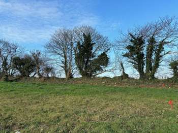 Vente Terrain 506 m&sup2;Bourg-Blanc