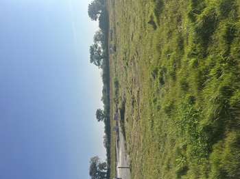 Vente Terrain 721 m&sup2;Bourg-Blanc
