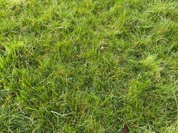 Vente Terrain 506 m&sup2;Bourg-Blanc