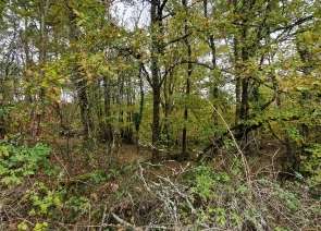 Vente Terrain 91662 m&sup2;Bourgnac