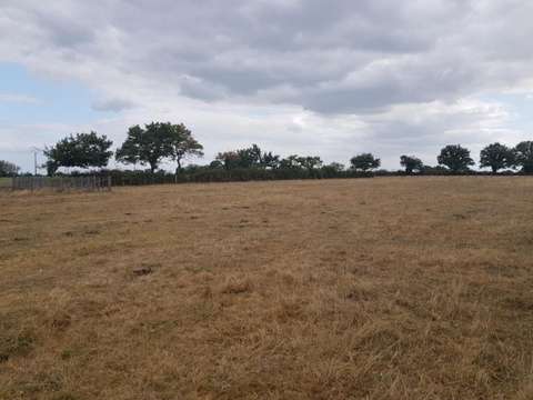 Vente de terrain Boussay 44