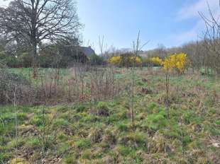 Photo Vente de terrain Bovel