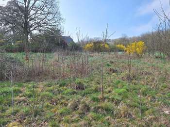 Photo Vente de terrain Bovel