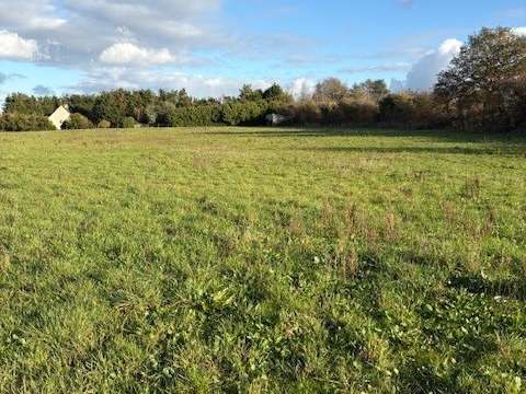 Vente de terrain Brain-sur-l'Authion 49