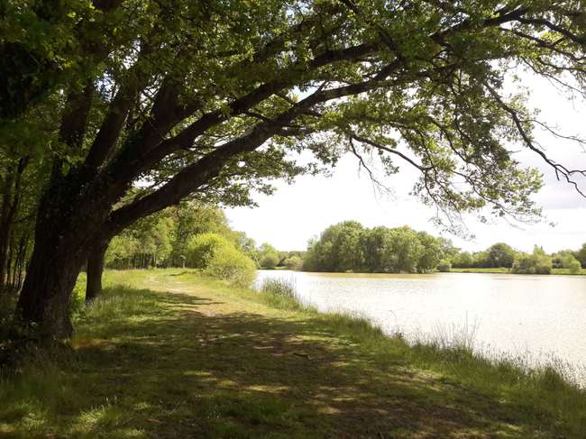 Terrain 520 m² · à Longuenée-en-Anjou · 520 m² · 69 888 €