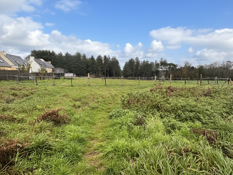 Vente de terrain