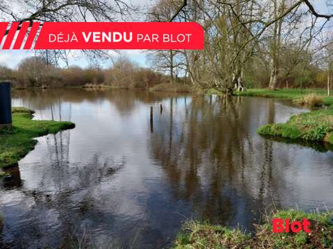Vente de terrain