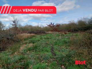Vente de terrain