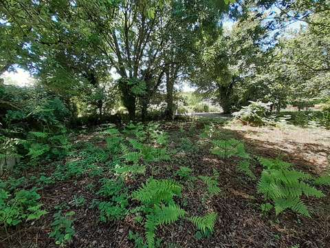 Vente de terrain Brech 56