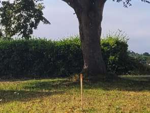 Vente Terrain 399 m&sup2;Bréhand