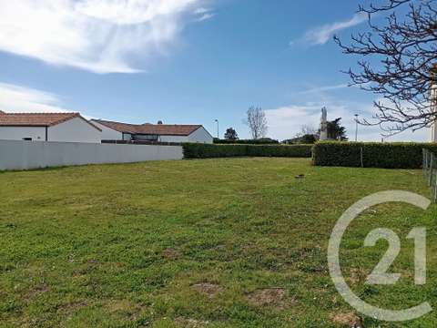 Vente de terrain