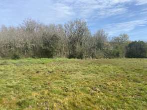 Vente Terrain 913 m&sup2;Brem-sur-Mer