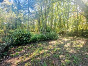 Vente Terrain 1351 m&sup2;Brem-sur-Mer