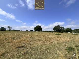 Vente de terrain