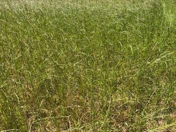 Vente Terrain 798 m&sup2;Brest