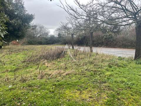 Vente de terrain Bretignolles-sur-Mer 85