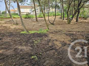 Vente de terrain