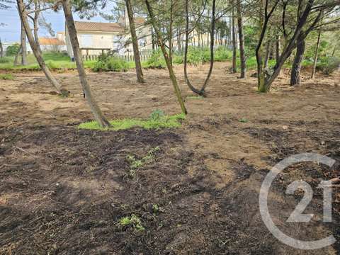 Vente de terrain