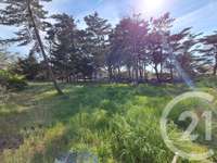 Vente de terrain