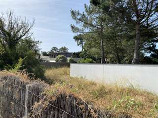 Vente de terrain