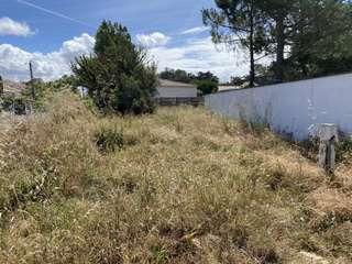 Vente de terrain