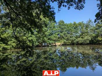 Vente Terrain 61114 m&sup2;Breuil-Barret