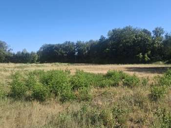 Vente Terrain 5407 m&sup2;Briare