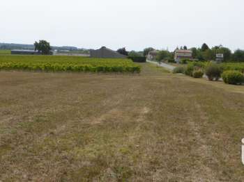 Vente de terrain