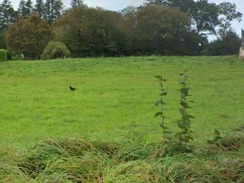 Vente Terrain 866 m&sup2;Briec