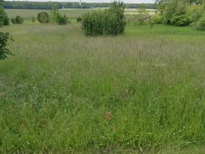 Vente Terrain 1121 m&sup2;Briou