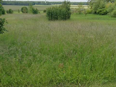 Vente de terrain Briou 41