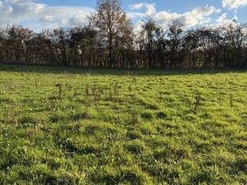 Vente de terrain Brissarthe 49