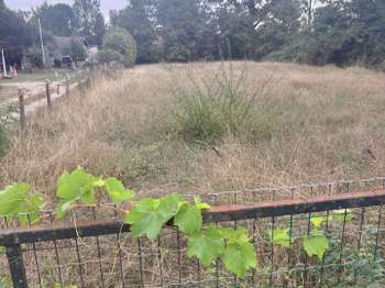 Vente Terrain 1402 m&sup2;Bruges