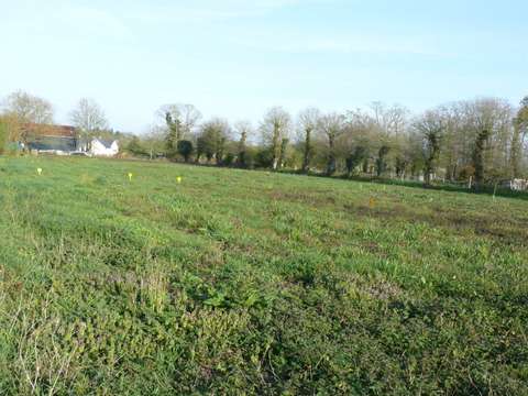 Vente de terrain Brusvily 22