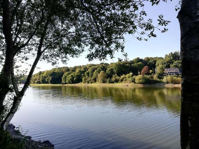 Terrain 655 m² · à Brusvily · 655 m² · 49 500 €