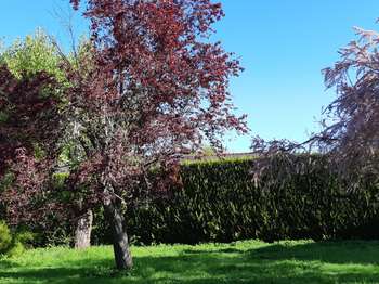 Vente Terrain 250 m&sup2;Bruz