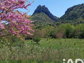 Vente Terrain 11771 m&sup2;Buis-les-Baronnies
