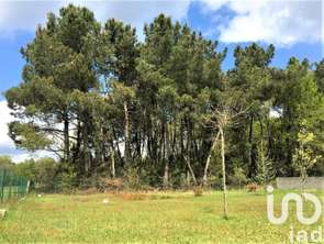 Vente Terrain 590 m&sup2;Bussac-Forêt