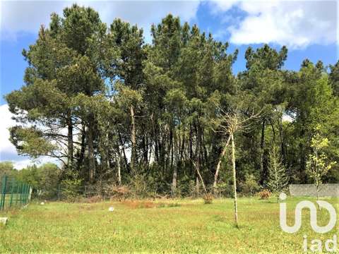 Vente de terrain Bussac-Forêt 17