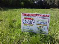 Vente de terrain