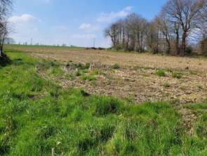 Vente Terrain 1500 m&sup2;Calorguen