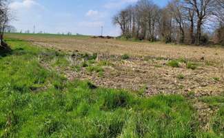 Photo Vente de terrain Calorguen