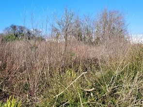 Vente Terrain 356 m&sup2;Camaret-sur-Mer