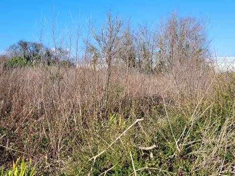 Vente de terrain Camaret-sur-Mer 29