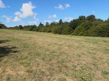 Photo Vente de terrain Cambernon