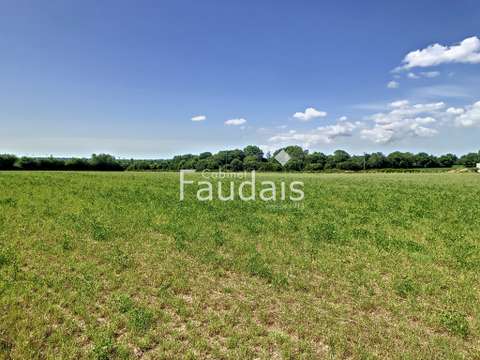 Vente de terrain